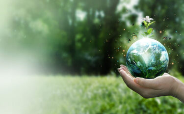 グリーン購入法(こうにゅうほう)