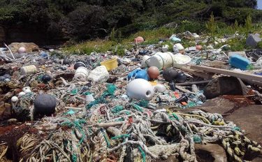 察çãæ¥ãããæµ·æŽãã©ã¹ããã¯åé¡ãç§ãã¡ã«ã§ããããšã¯ïŒ