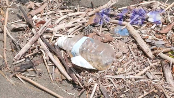 ごみ問題の解決に小学生にできることをわかりやすく解説します!